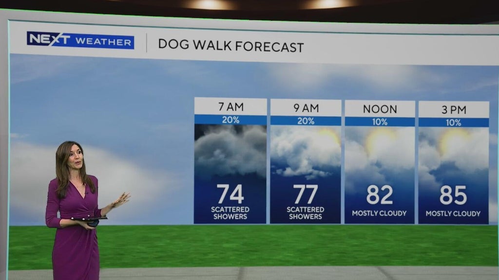 South Florida sees some showers Tuesday, but rain chances rise by end of week — CBS Miami, Miami Community news