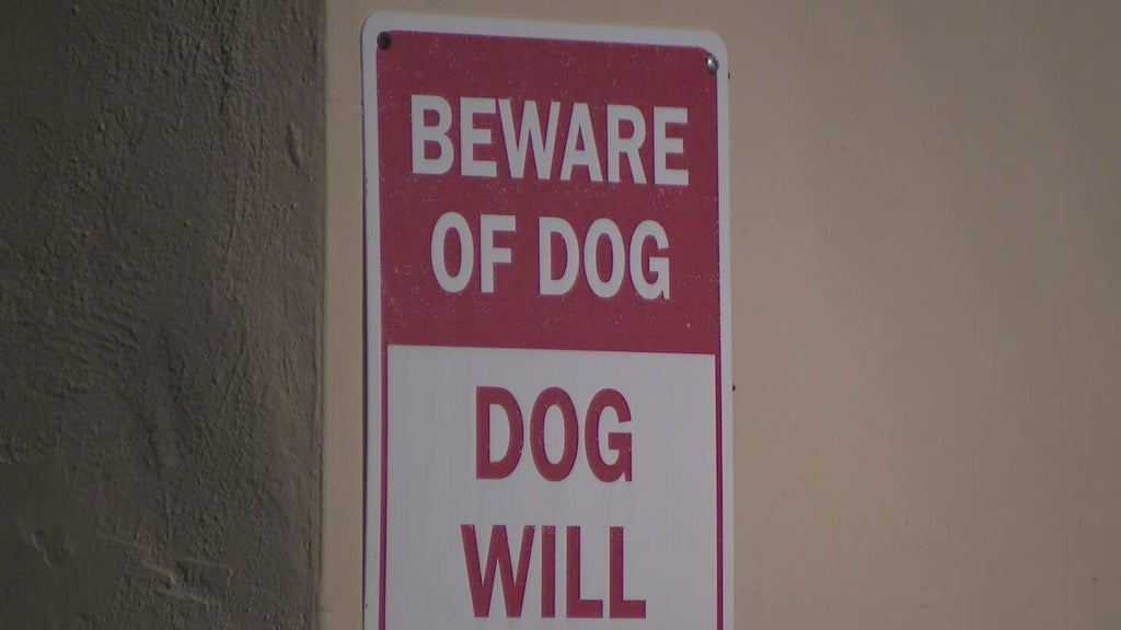 Dog on the loose after attacking a child in northwest Miami-Dade, deputies said — CBS Miami, Miami Health news