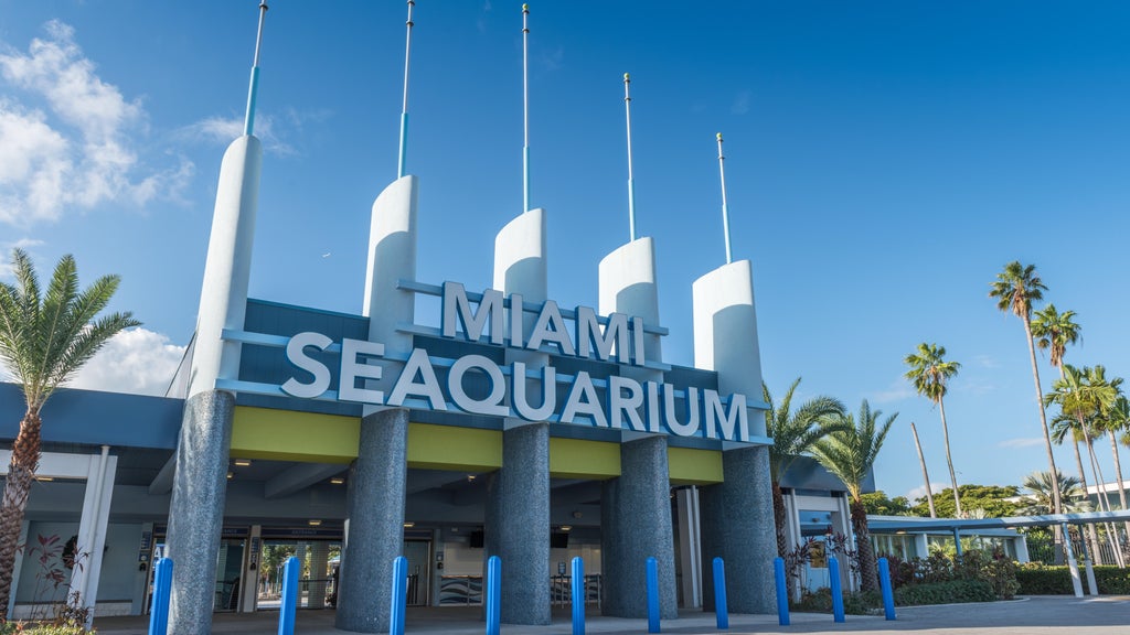 2 Miami-Dade residents sue to require countywide vote on Miami Seaquarium marina development plan — CBS Miami, Miami Real Estate news