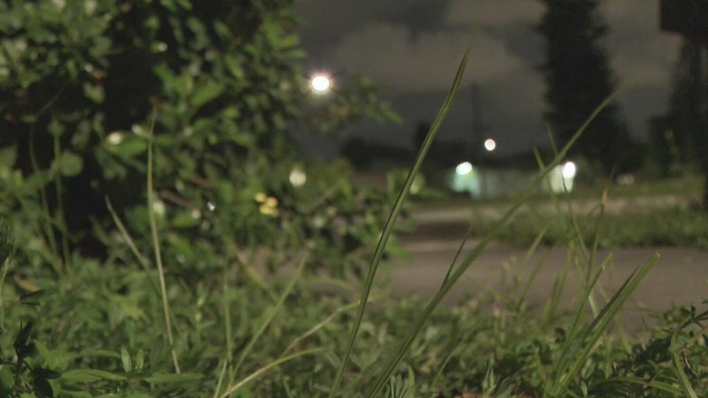 Broward mother says she went months without update after reporting man outside her window — CBS Miami, Miami Real Estate news