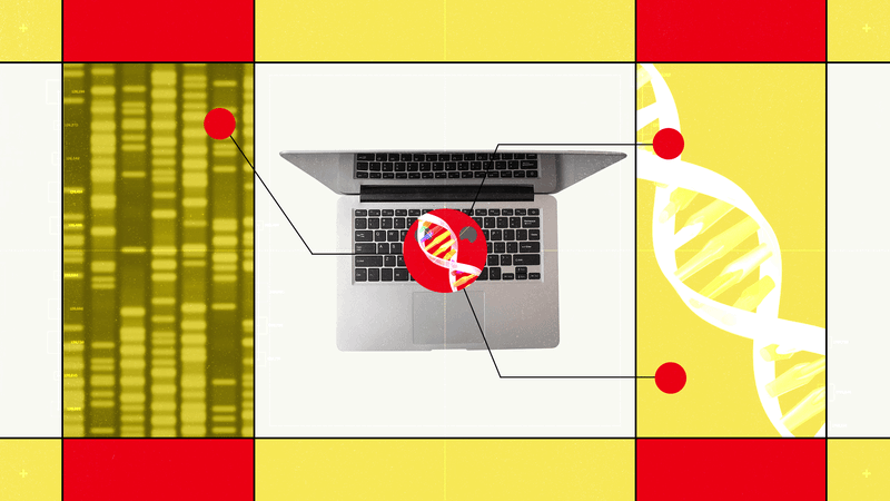 Hugging Face’s New AI Biology Model Lets You Chat With DNA — Wired, Miami Technology news