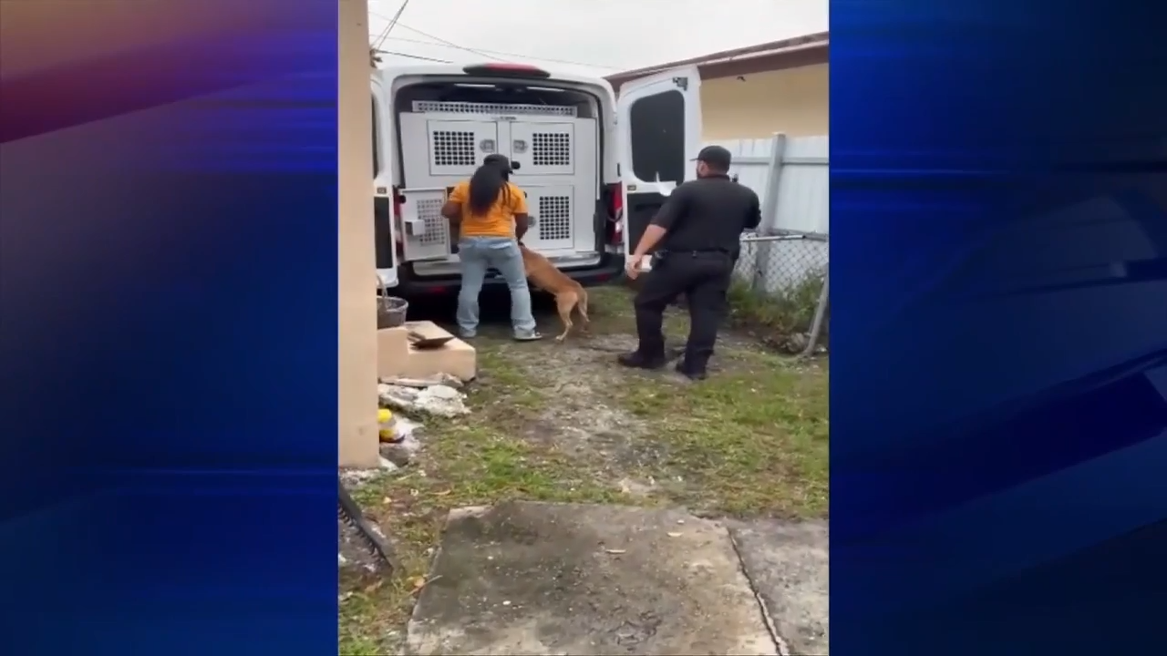 Animal control officials remove dog that bit 17-year-old girl from home as victim is discharged from hospital — WSVN 7 Miami-Dade, Miami Health news